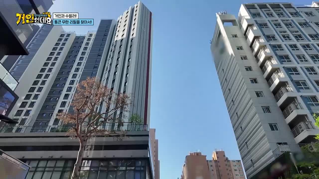 안녕하세요, 거인인데요 2026-05-10