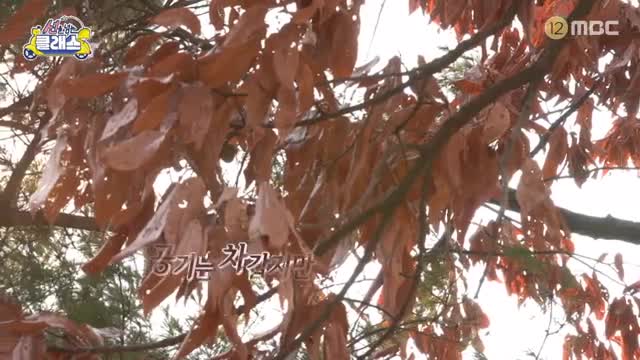 선을 넘는 클래스 2025-02-12