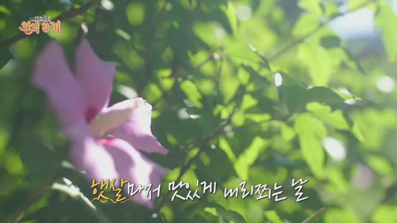 셰프의 손길 완벽 한 끼 제1회
