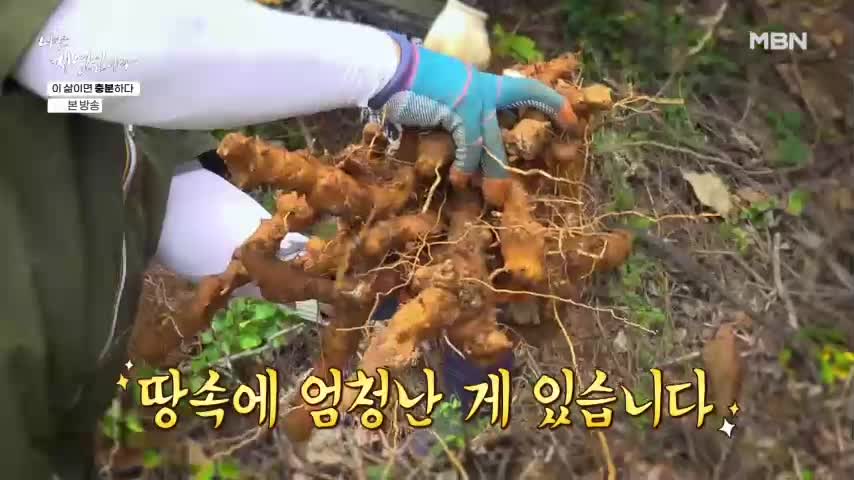 나는 자연인이다 2026-06-22
