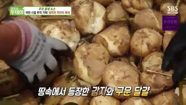 생방송 투데이 2025-06-13