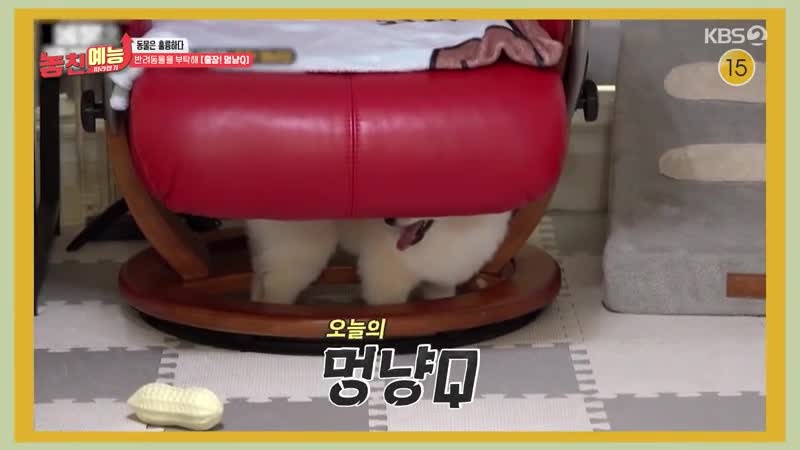 놓친 예능 따라잡기 2025-01-16