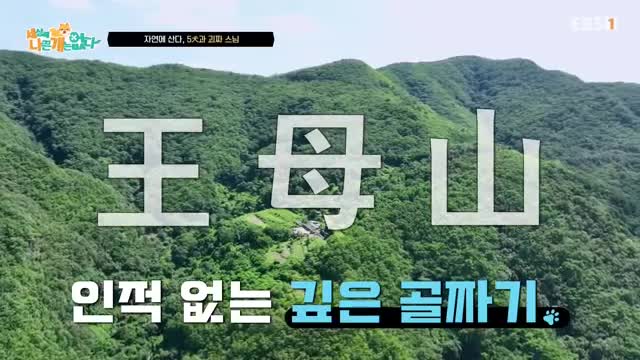 세상에 나쁜 개는 없다 시즌 4 2025-09-13