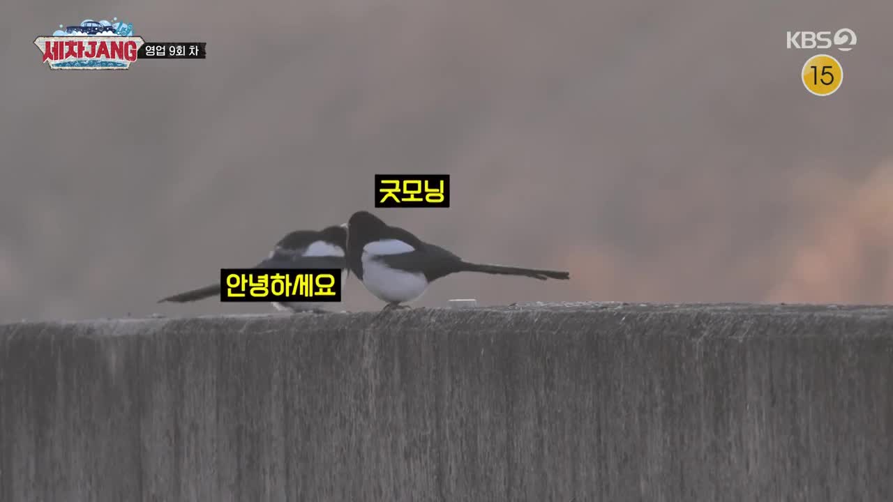 세차JANG 2025-02-24