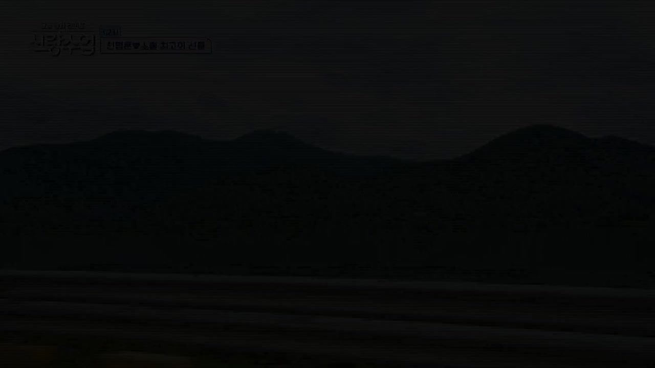 요즘 남자 라이프 신랑수업 제179회
