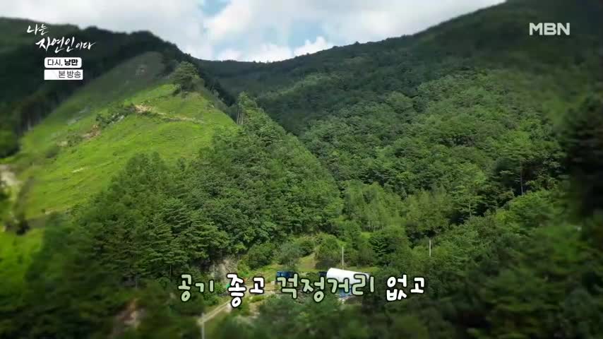 나는 자연인이다 2026-09-14