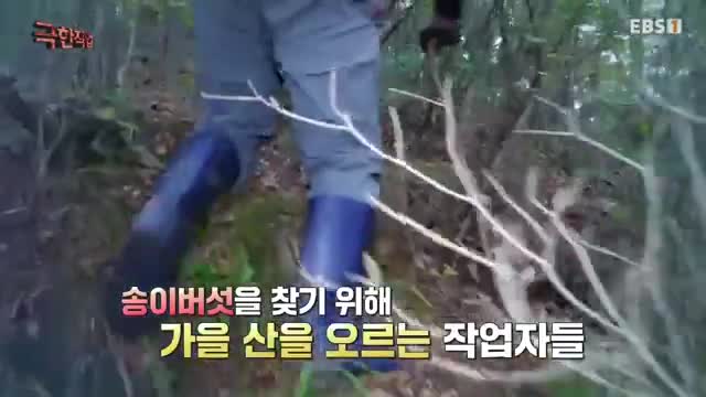극한직업 2025-11-01