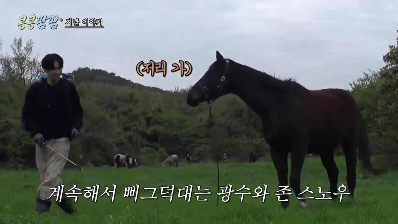 콩콩팜팜 2026-07-24
