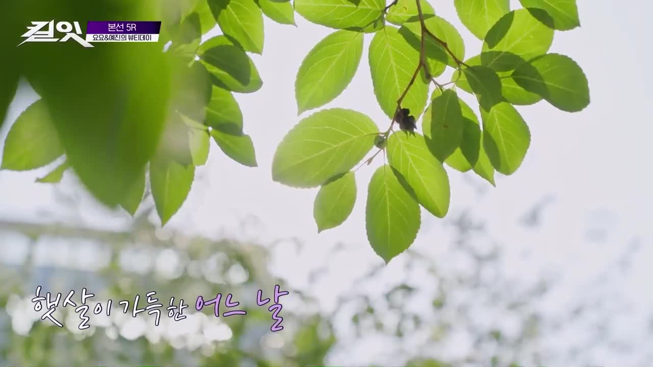 킬잇: 스타일 크리에이터 대전쟁 제10회