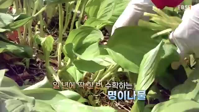 극한직업 2025-04-26