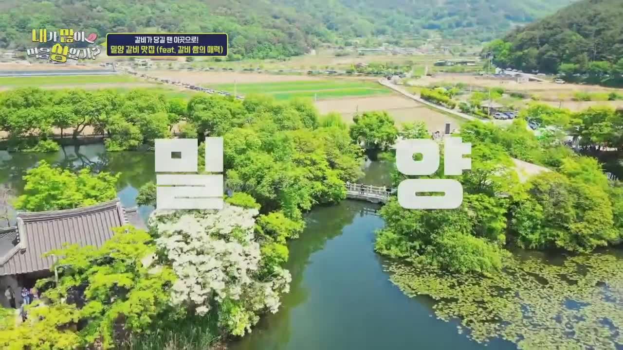 내가 많이 먹을 상인가? 2026-04-19