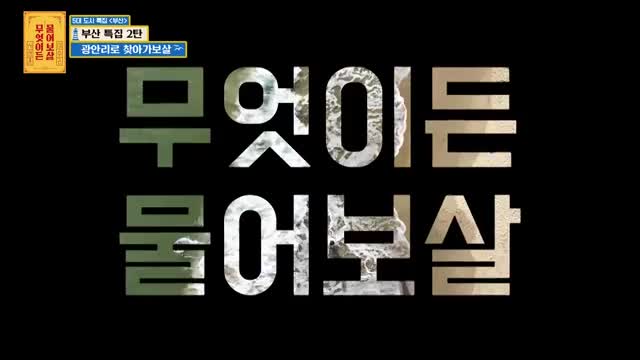 무엇이든 물어보살 2025-11-17