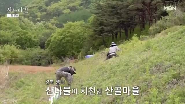 휴먼다큐 사노라면 2025-06-08