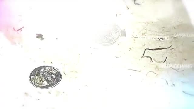 한국인의 밥상 2025-10-23