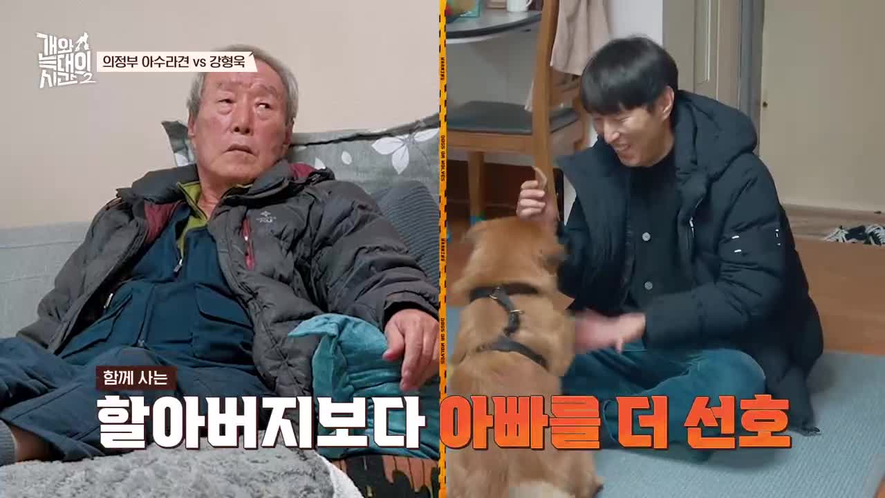 개와 늑대의 시간 시즌2 2026-01-21