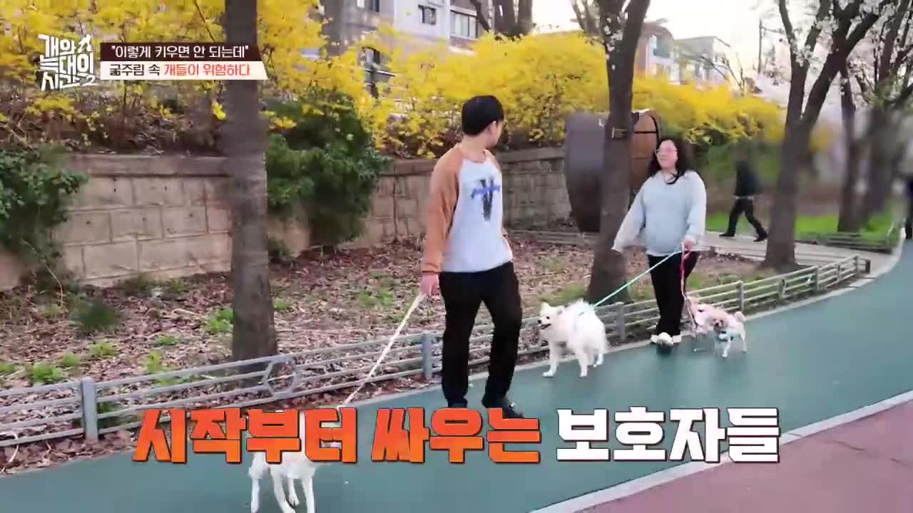 개와 늑대의 시간 시즌2 2026-05-27