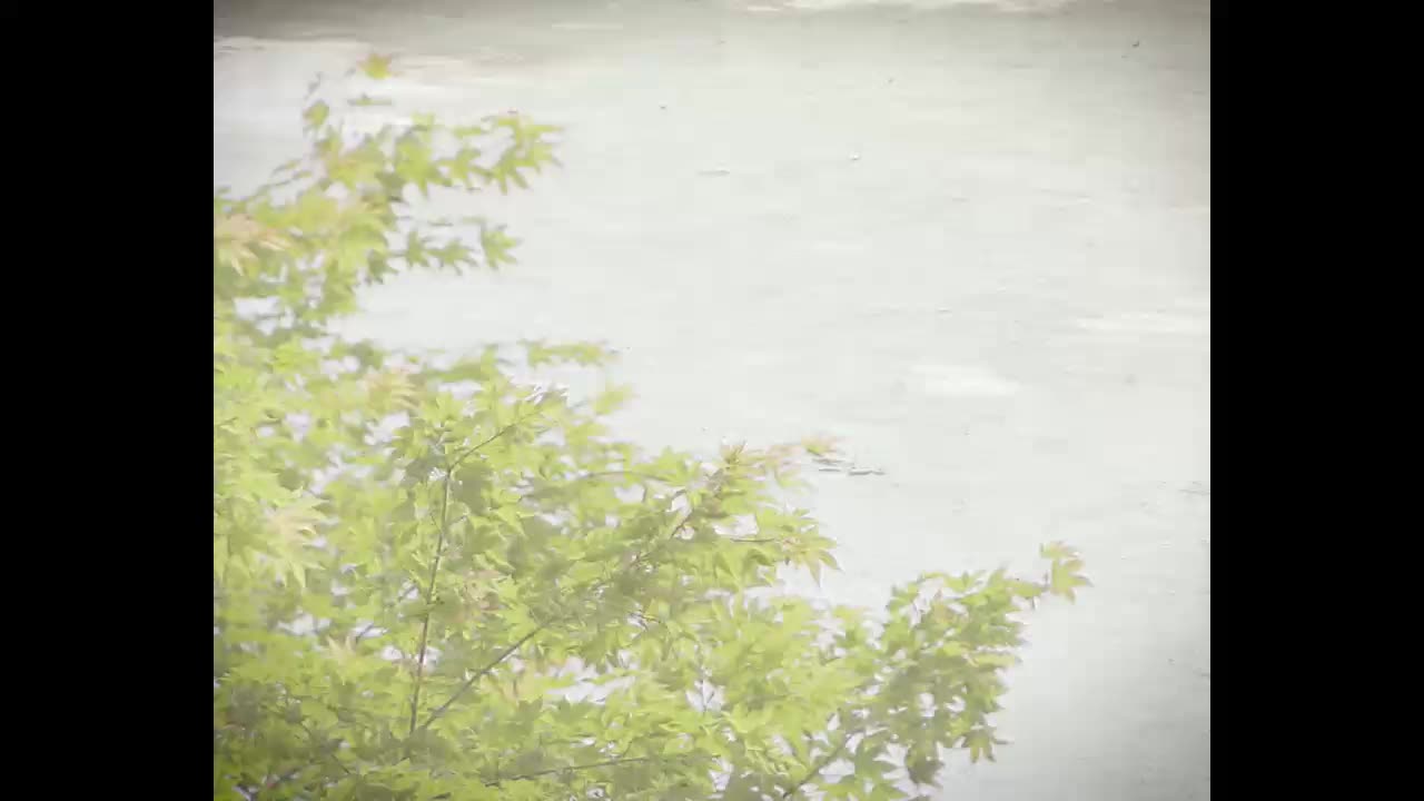 도라이버: 잃어버린 핸들을 찾아서 시즌2 2025-06-15
