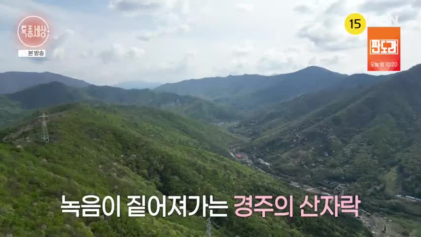 특종세상 2026-04-30