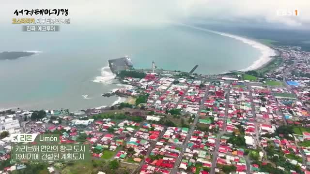 세계테마기행 2025-05-20