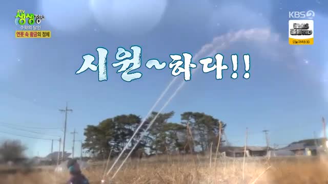 2TV 생생정보 2025-02-24