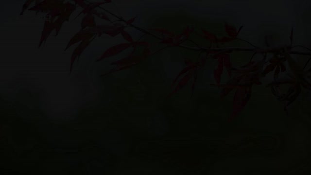 절친 토큐멘터리 4인용식탁 2025-11-17