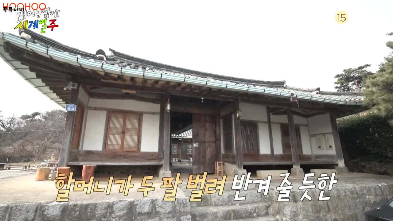 태어난 김에 세계일주4 (태계일주4) 2025-06-15