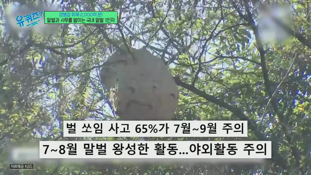 유 퀴즈 온 더 블럭 제305회