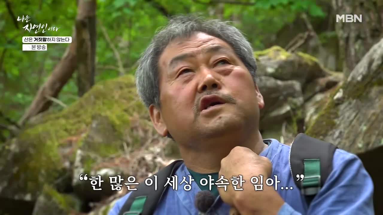나는 자연인이다 2026-07-13