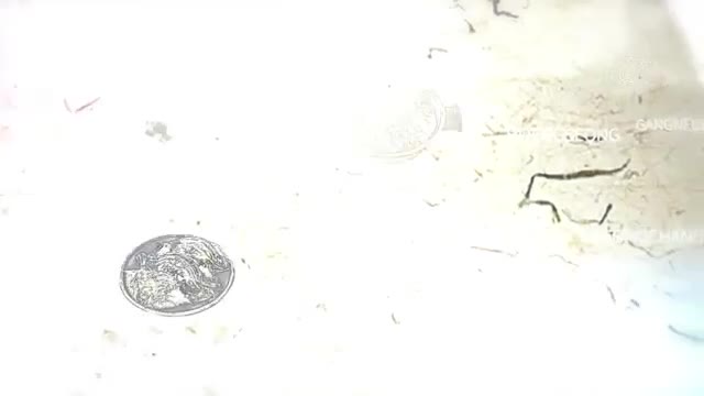 한국인의 밥상 2025-08-14