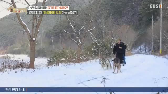 세상에 나쁜 개는 없다 시즌 4 2025-02-21