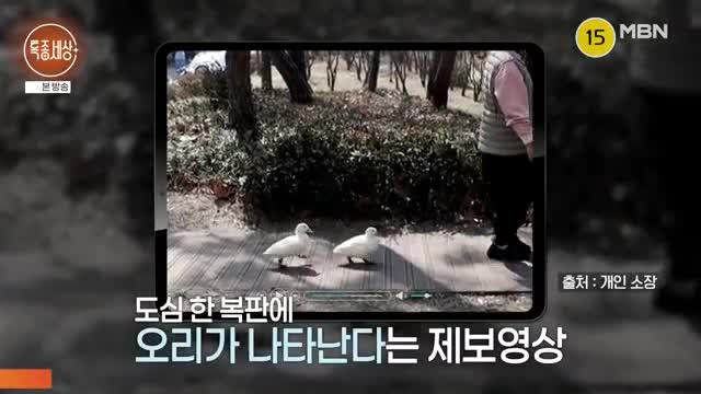 특종세상 2025-04-03