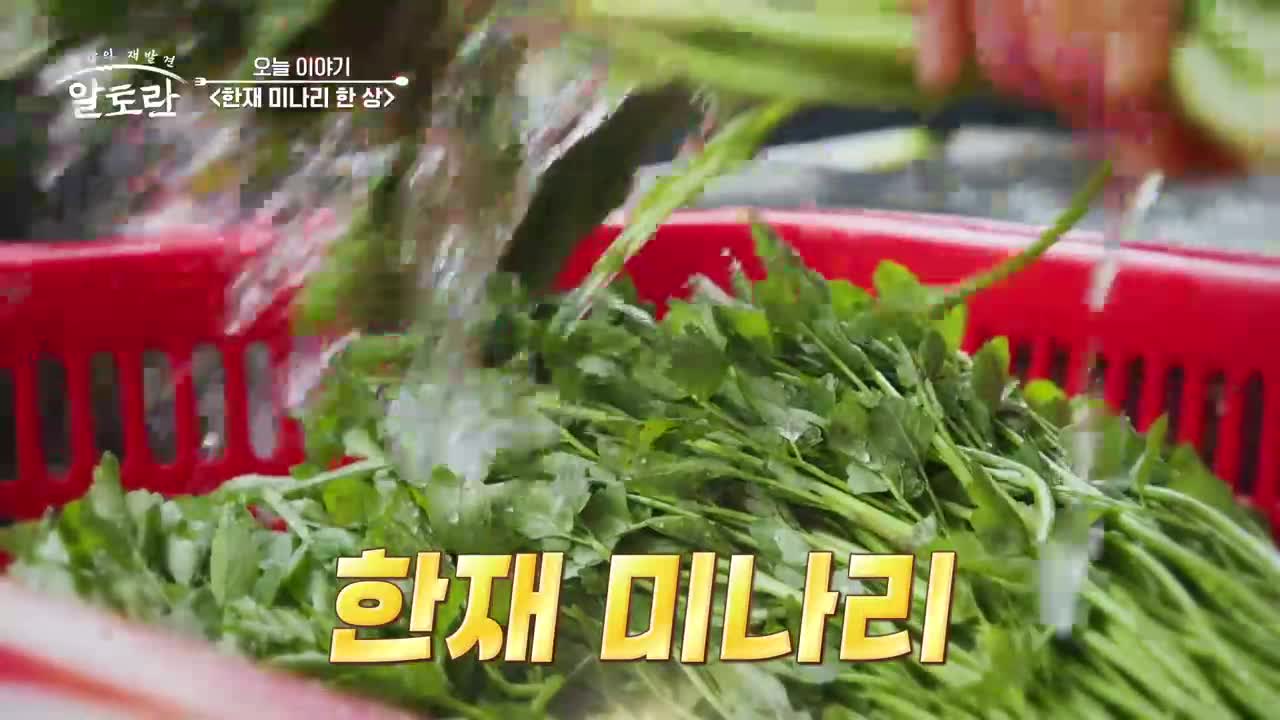 알토란 2026-03-29