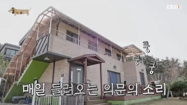 세상에 나쁜 개는 없다 시즌 4 2025-03-15