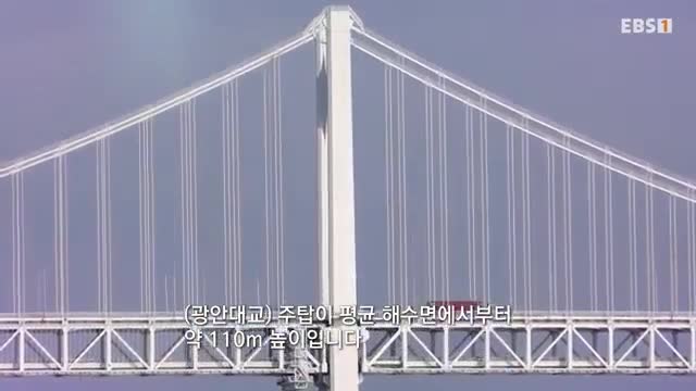 극한직업 2025-07-26