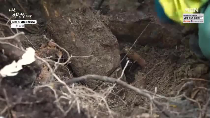 나는 자연인이다 2026-05-25