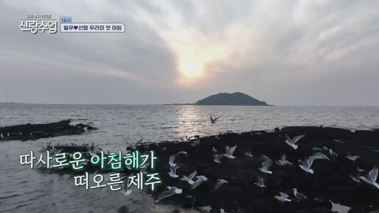 요즘 남자 라이프 신랑수업 제160회