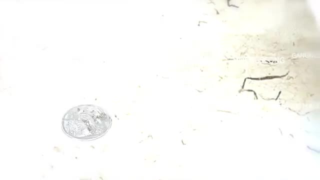 한국인의 밥상 2025-06-19