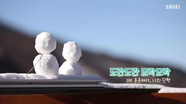 한국기행 2025-02-04