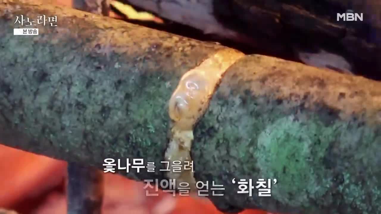 휴먼다큐 사노라면 2025-12-14