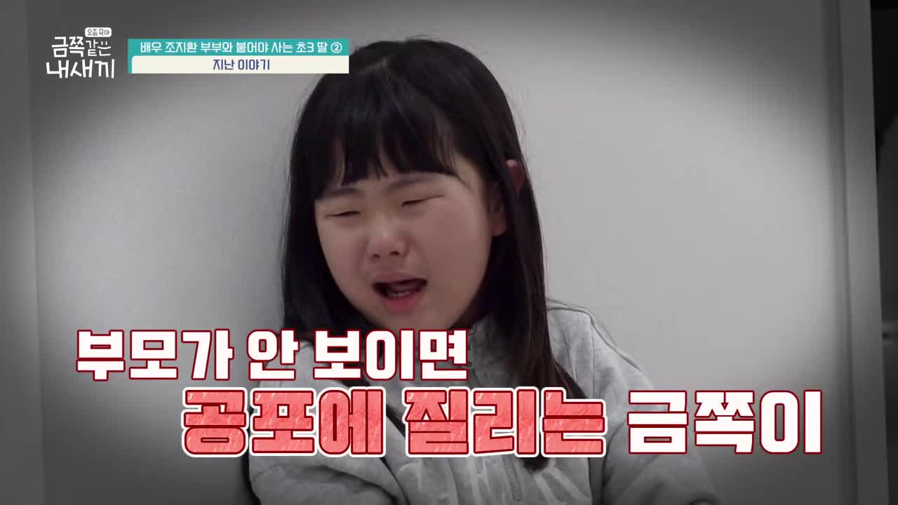 요즘 육아 금쪽같은 내 새끼 제267회