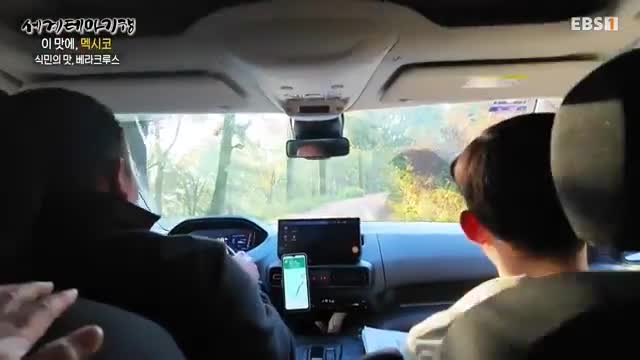 세계테마기행 2025-02-27