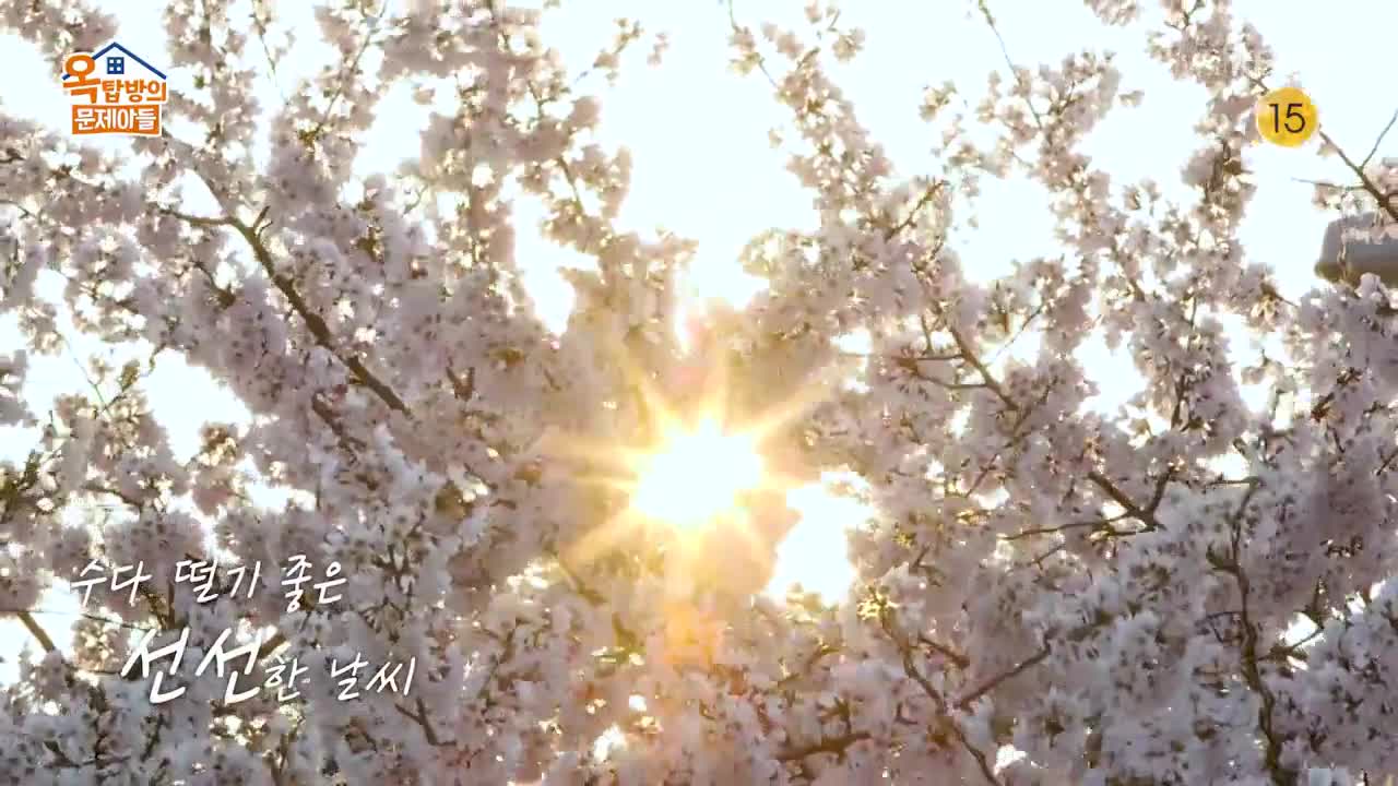옥탑방의 문제아들 제264회