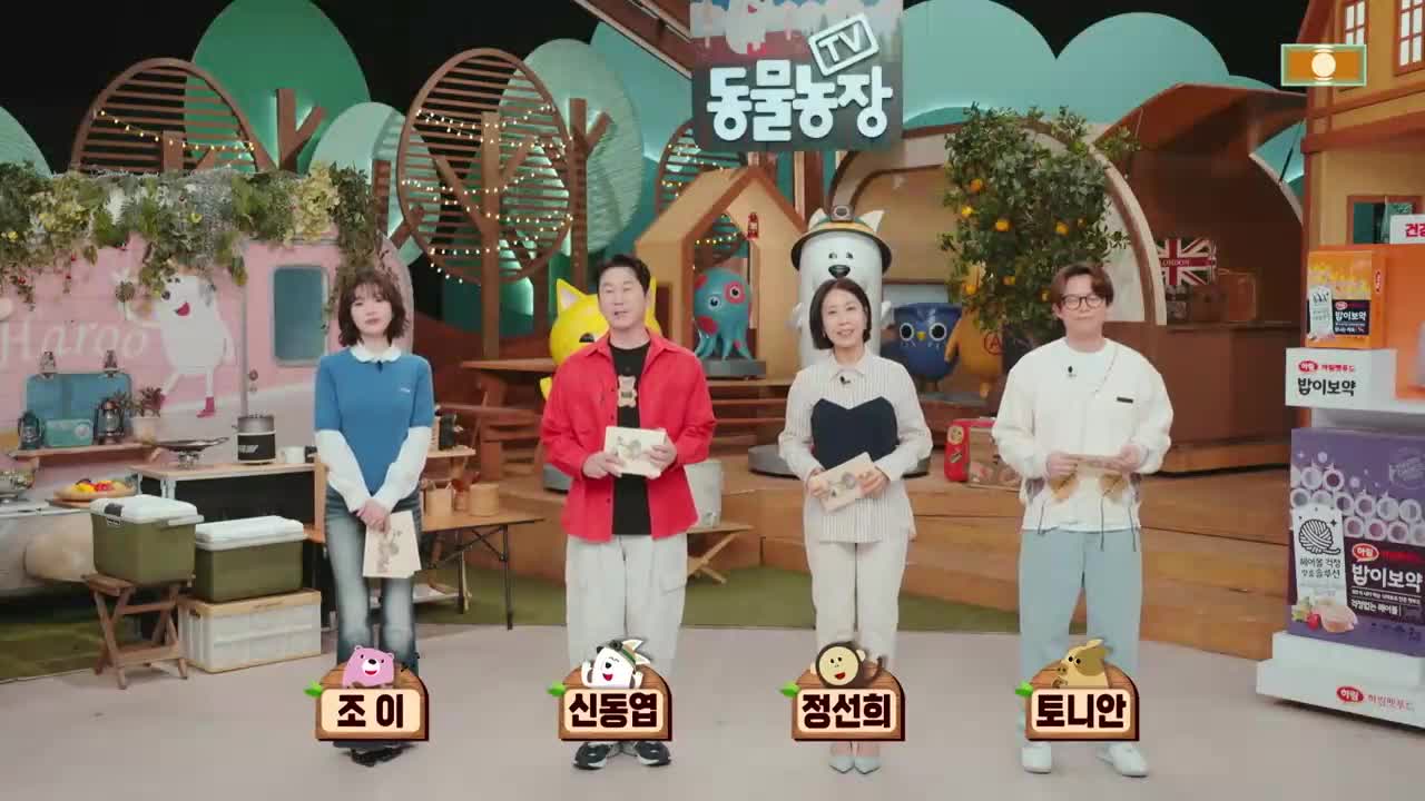 TV 동물농장 제1269회
