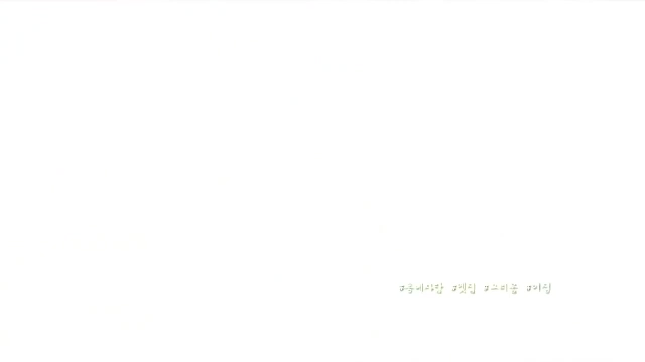 동네 한 바퀴 2025-01-11