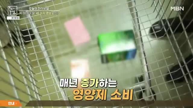 천기누설 2025-04-25