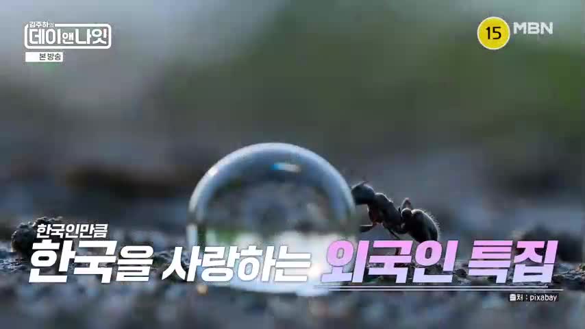 김주하의 데이앤나잇 2026-08-01