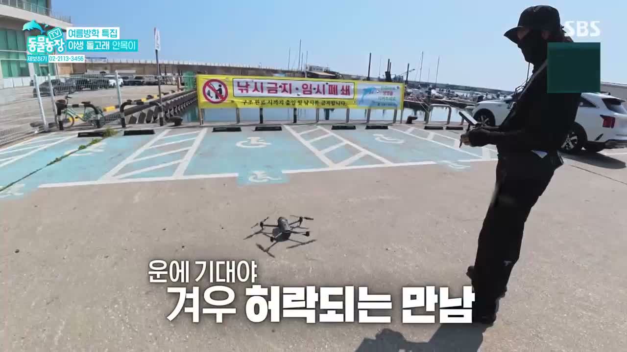 TV 동물농장 제1285회