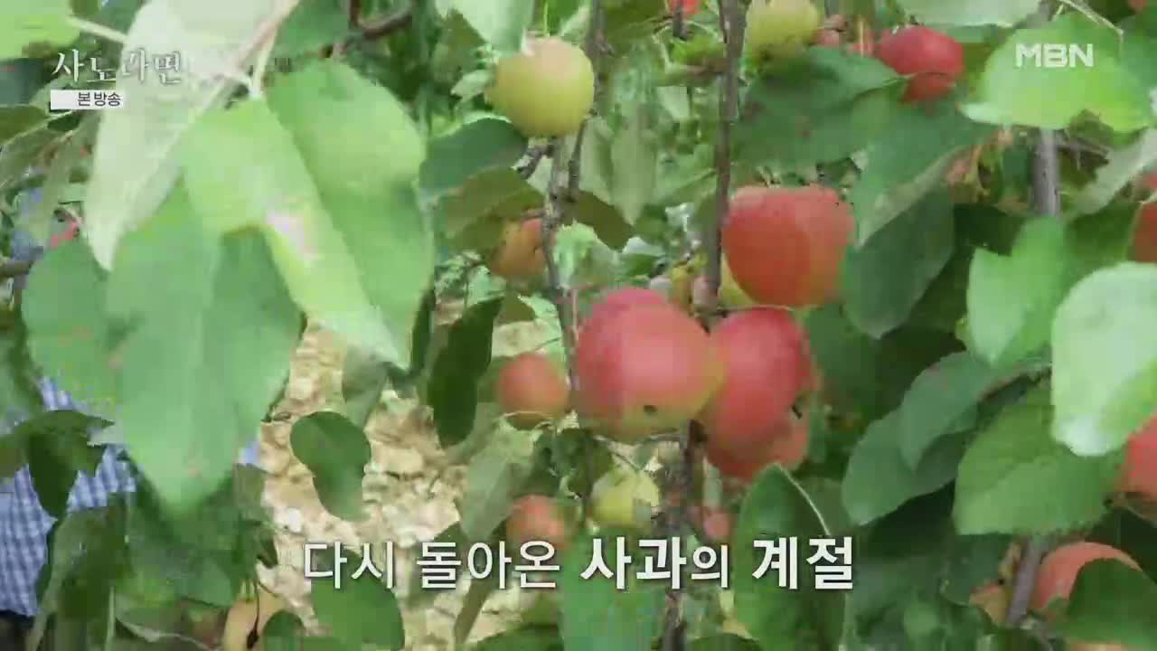 휴먼다큐 사노라면 2025-10-05