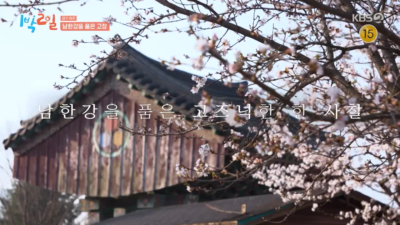 1박 2일 시즌4 제272회 2025-04-27