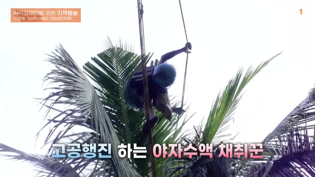 극한직업 2025-06-28